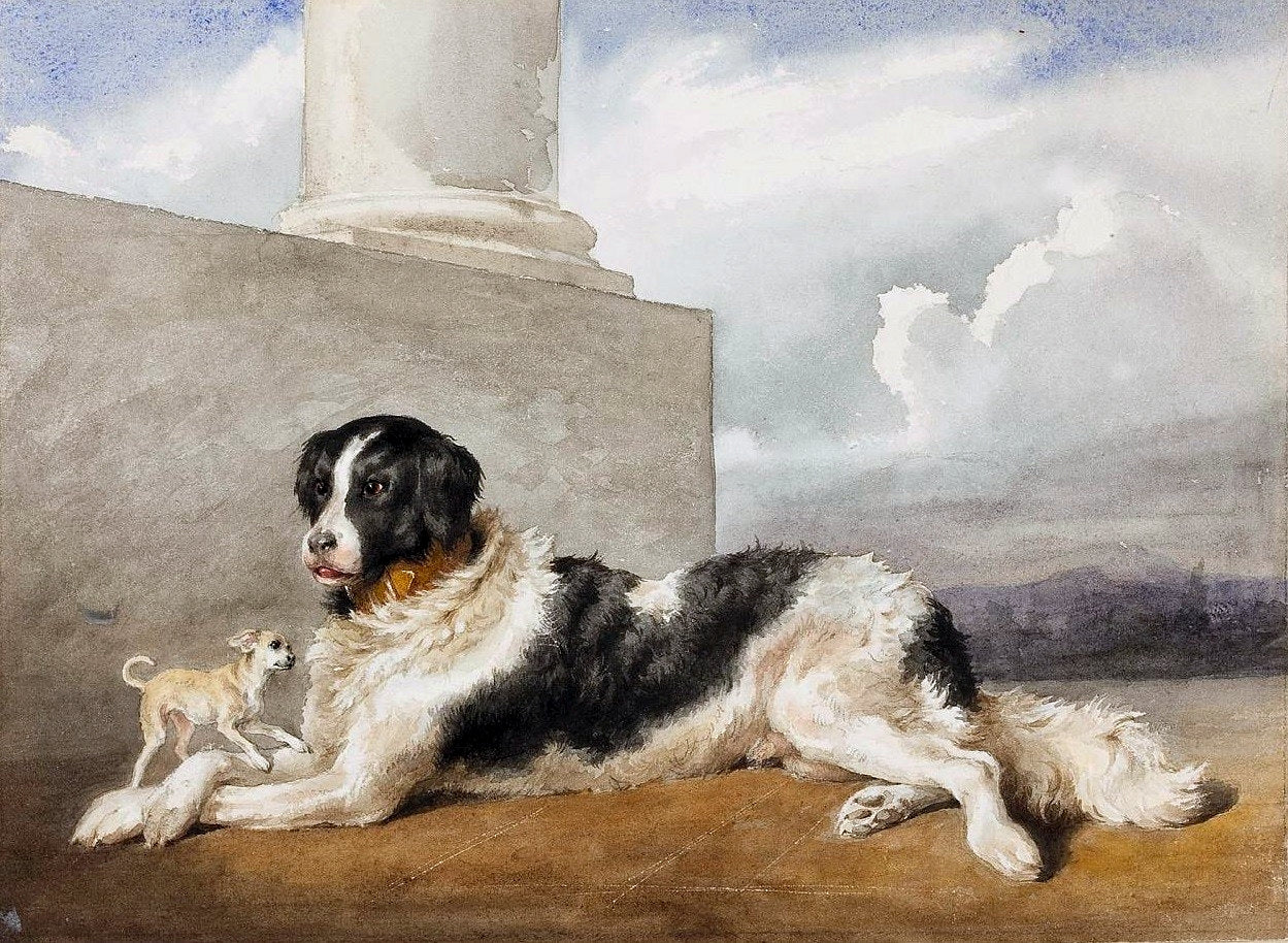 Sultan et Rosette - les chiens des Czartoryski - Rosa Bonheur