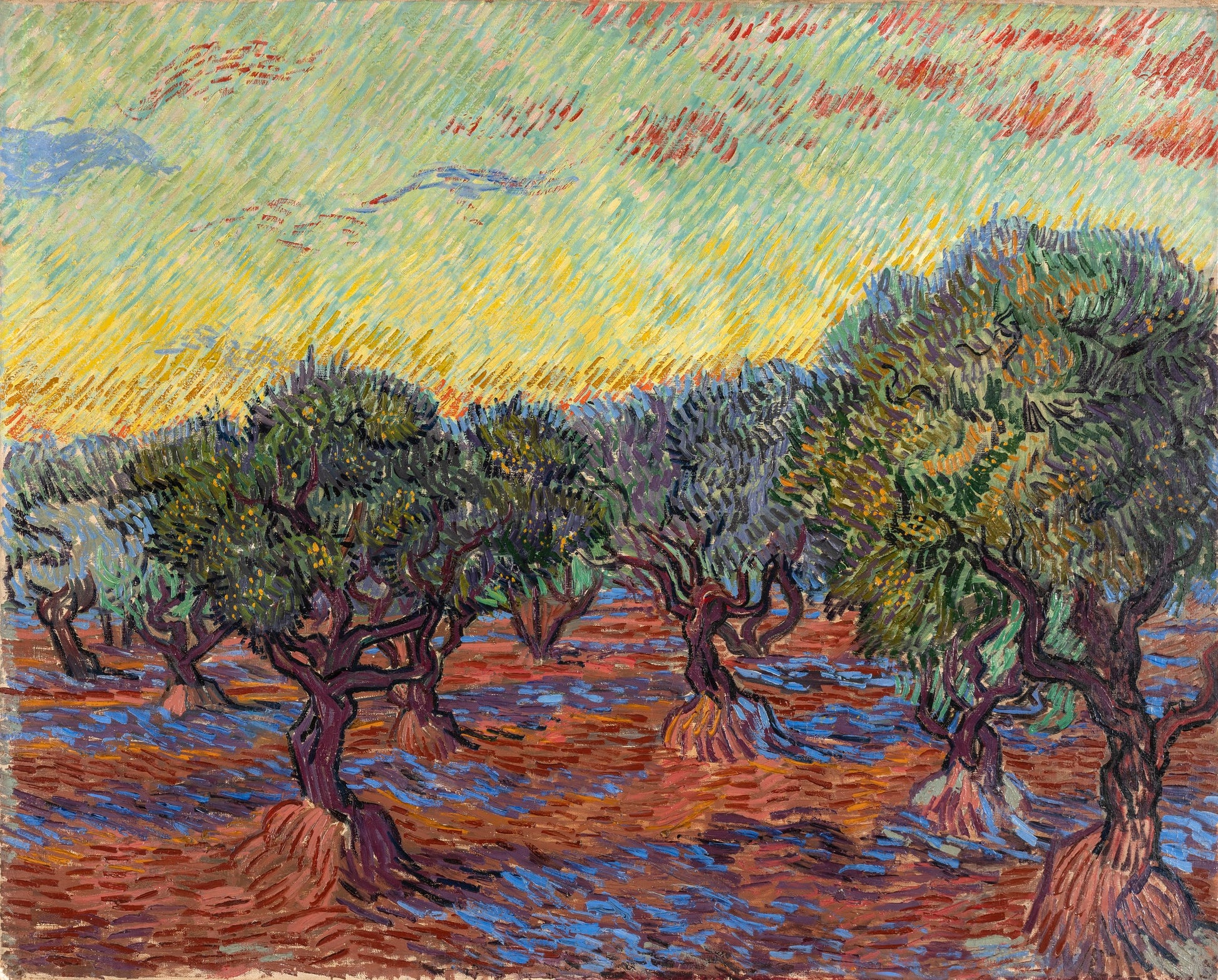Oliivitarha, Saint-Rémy - Vincent van Gogh
