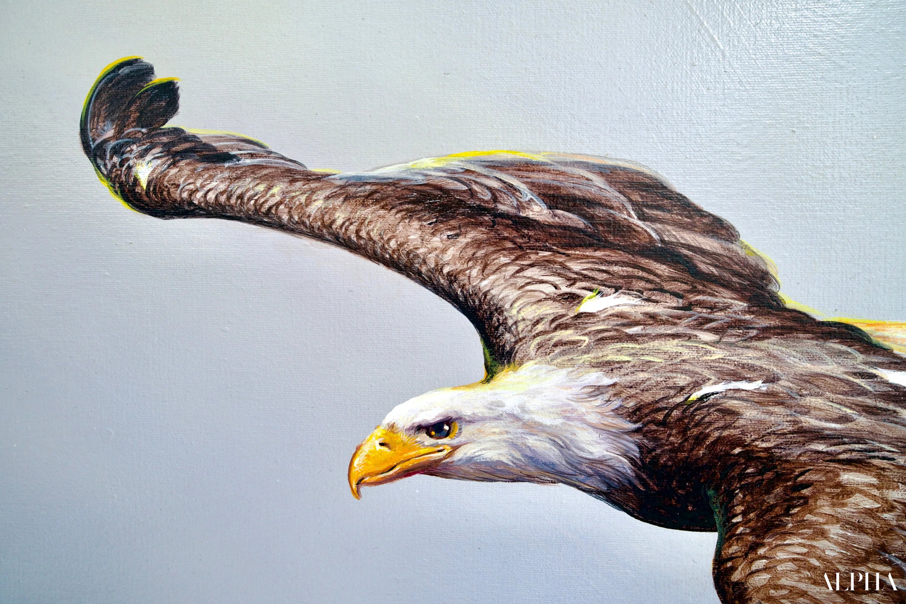 Aigles en Vol | 200 x 170 cm Reproductions de tableaux à la peinture à l’huile