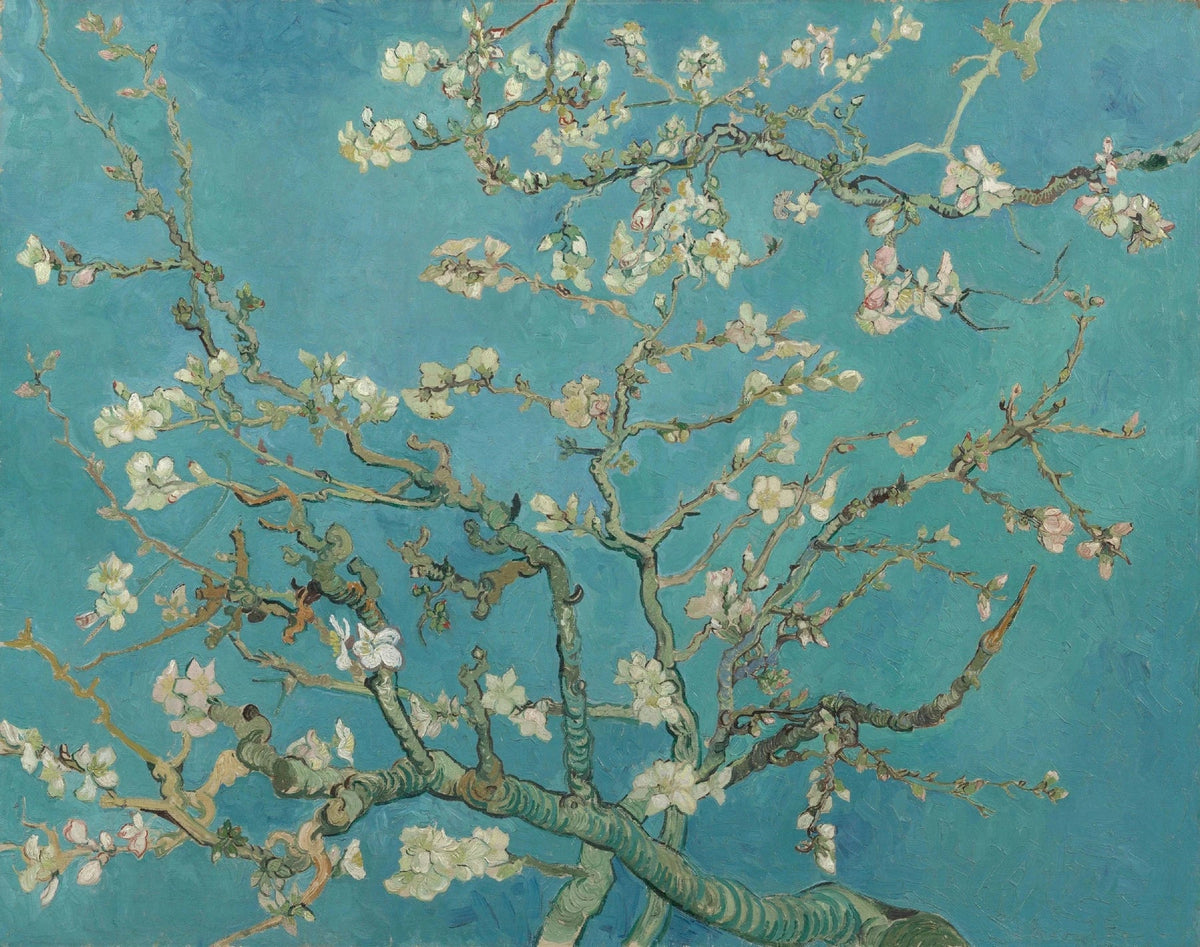 Amandier en fleurs — Vincent van Gogh