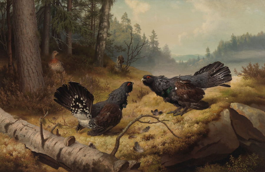 Les Grands Tétras combattant, Ferdinand von Wright, 1886