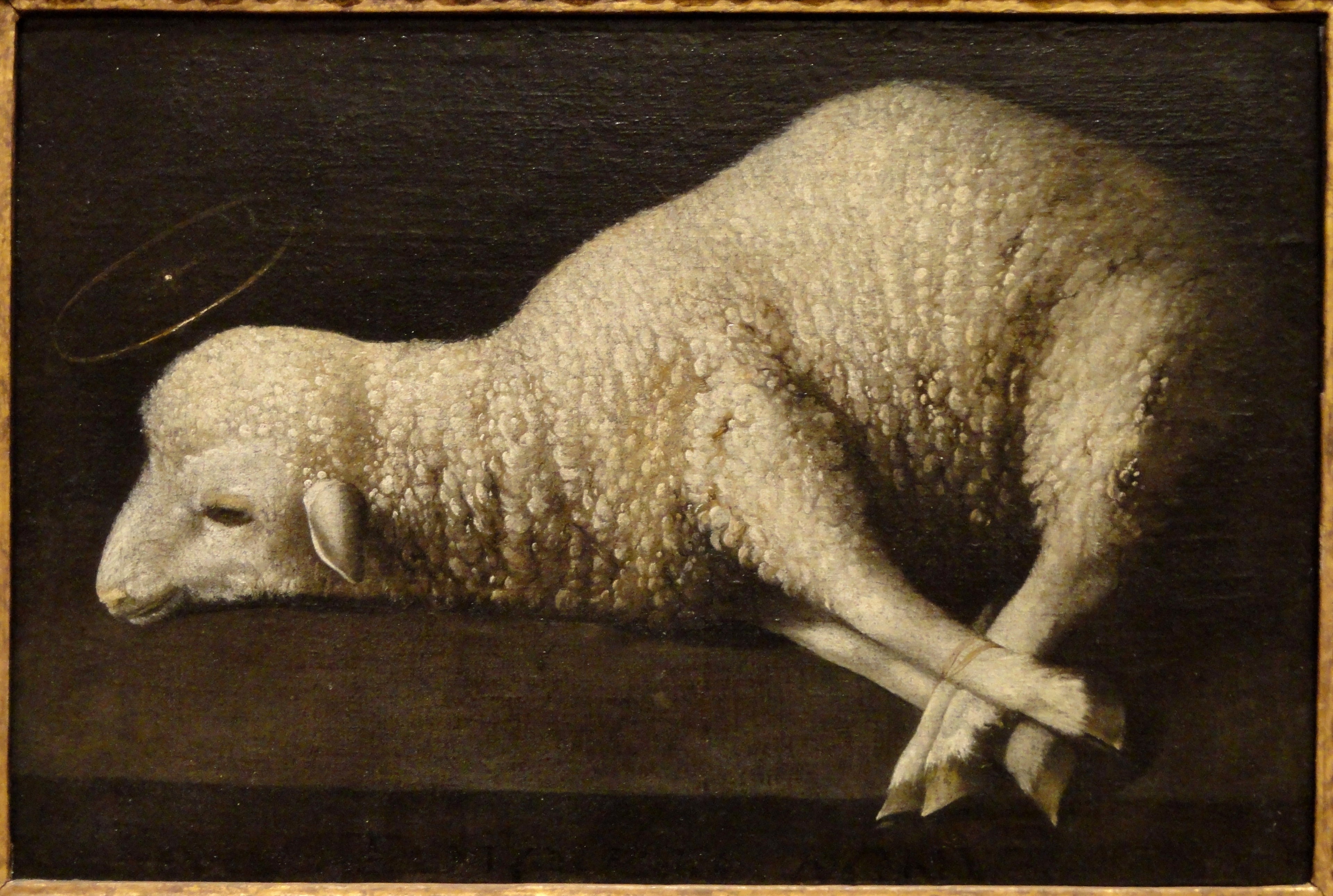 L'Agneau de Dieu - Francisco de Zurbarán