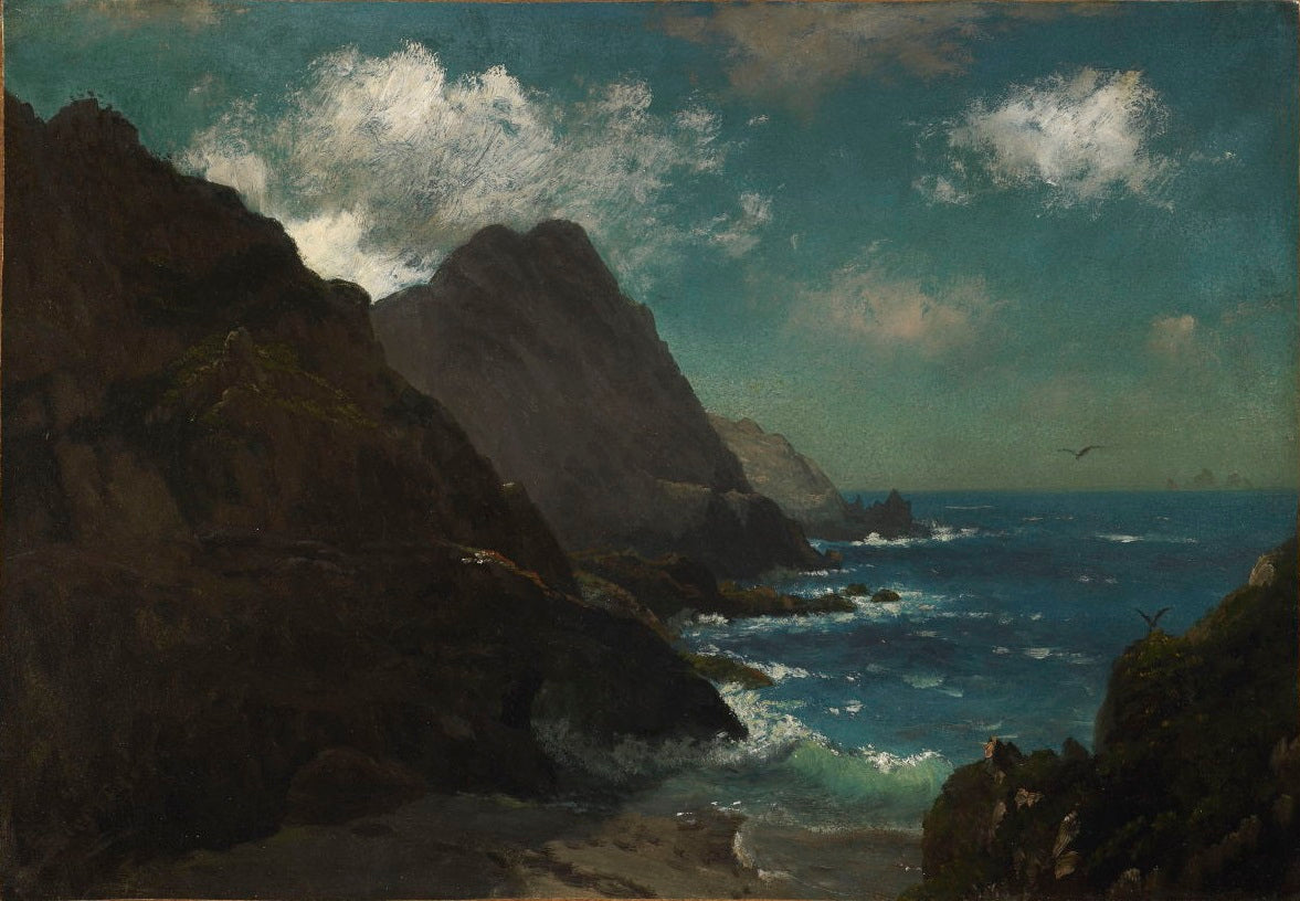 Îles Farallon - Albert Bierstadt