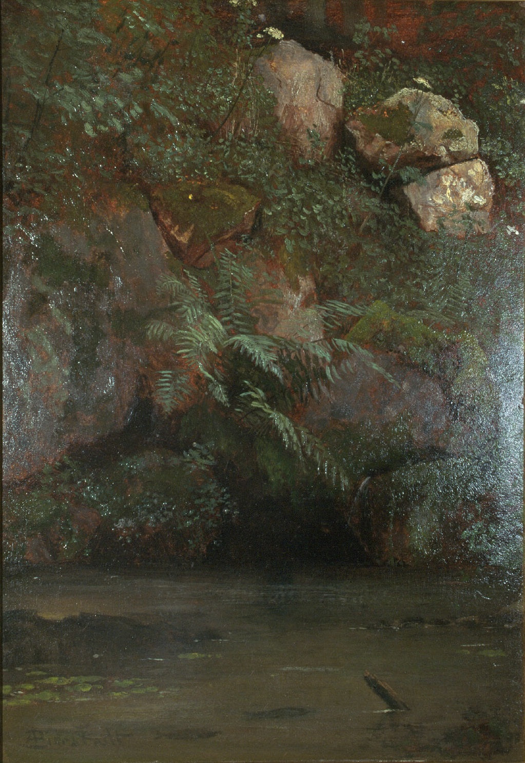 Fougères et rochers sur un talus - Albert Bierstadt