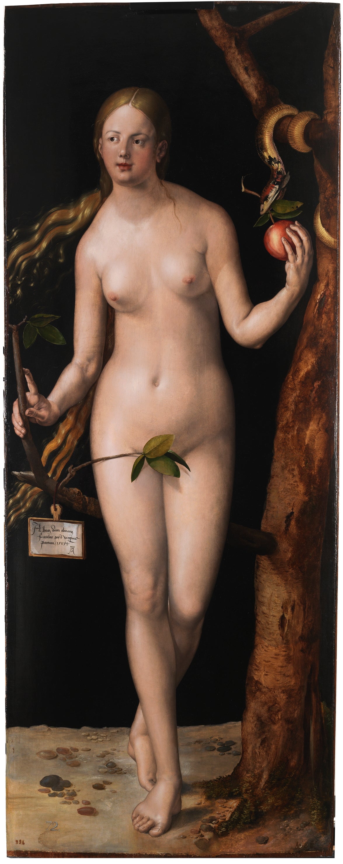 Eeva - Albrecht Dürer