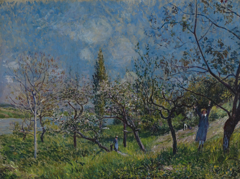 Hedelmätarha keväällä, Tekijä - Alfred Sisley