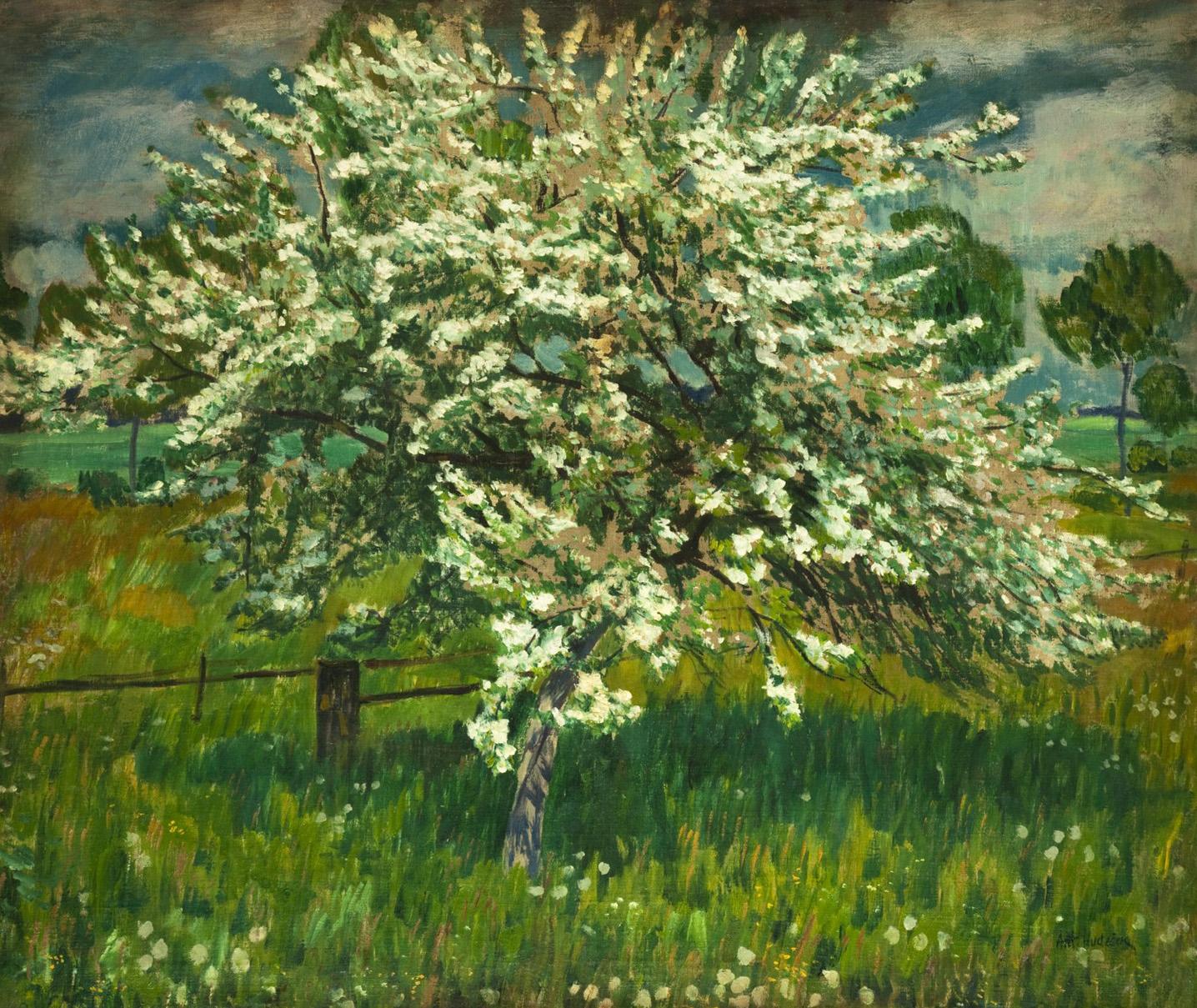 Pommier en fleurs, peinture de Antonín Hudeček