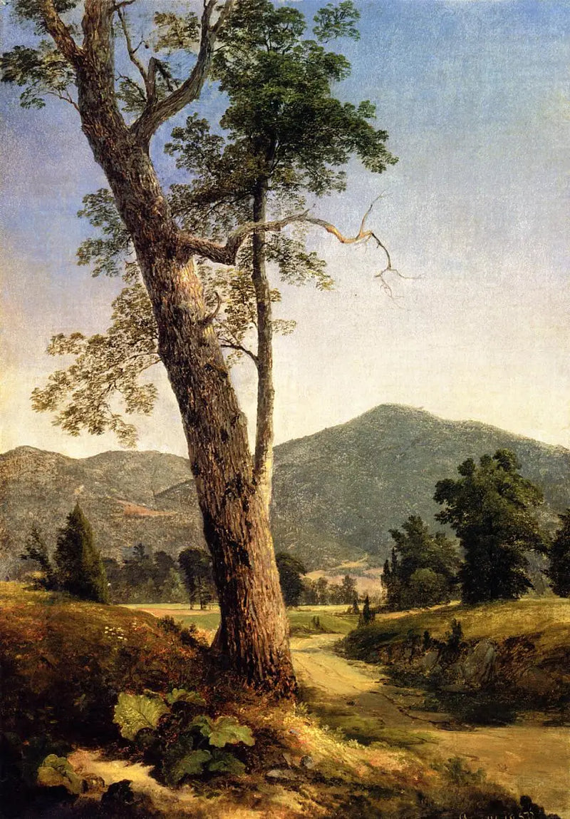 Maisemaa puun takaa - Asher Brown Durand