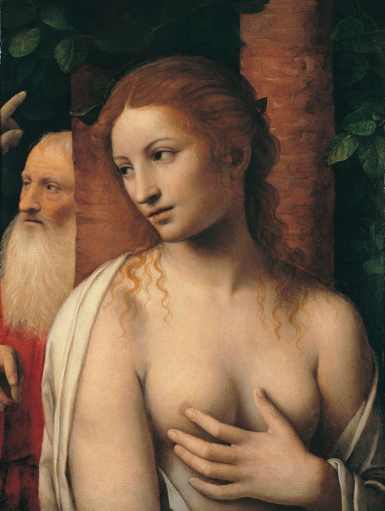 Suzanne et les anciens - Bernardino Luini