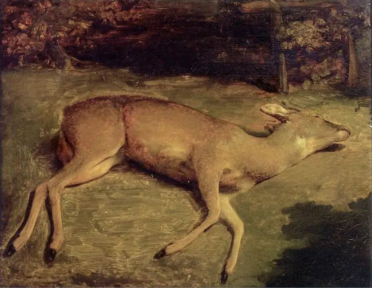 Kuollut peura - Gustave Courbet