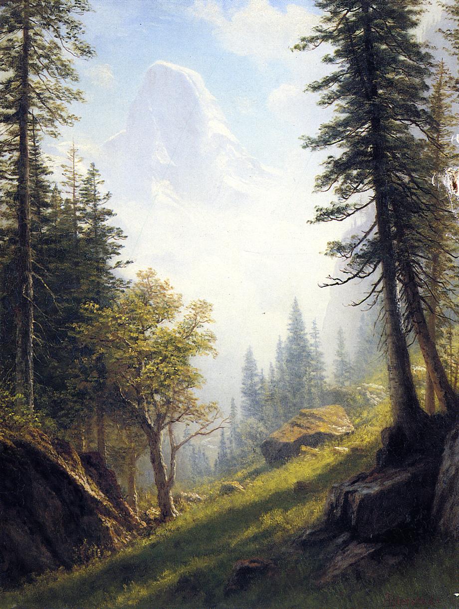 Parmi les Alpes bernoises - Albert Bierstadt