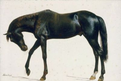 Cheval noir - Albert Bierstadt