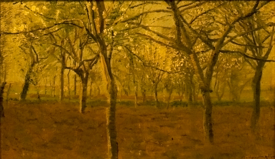 Pommiers en fleurs – László Mednyánszky