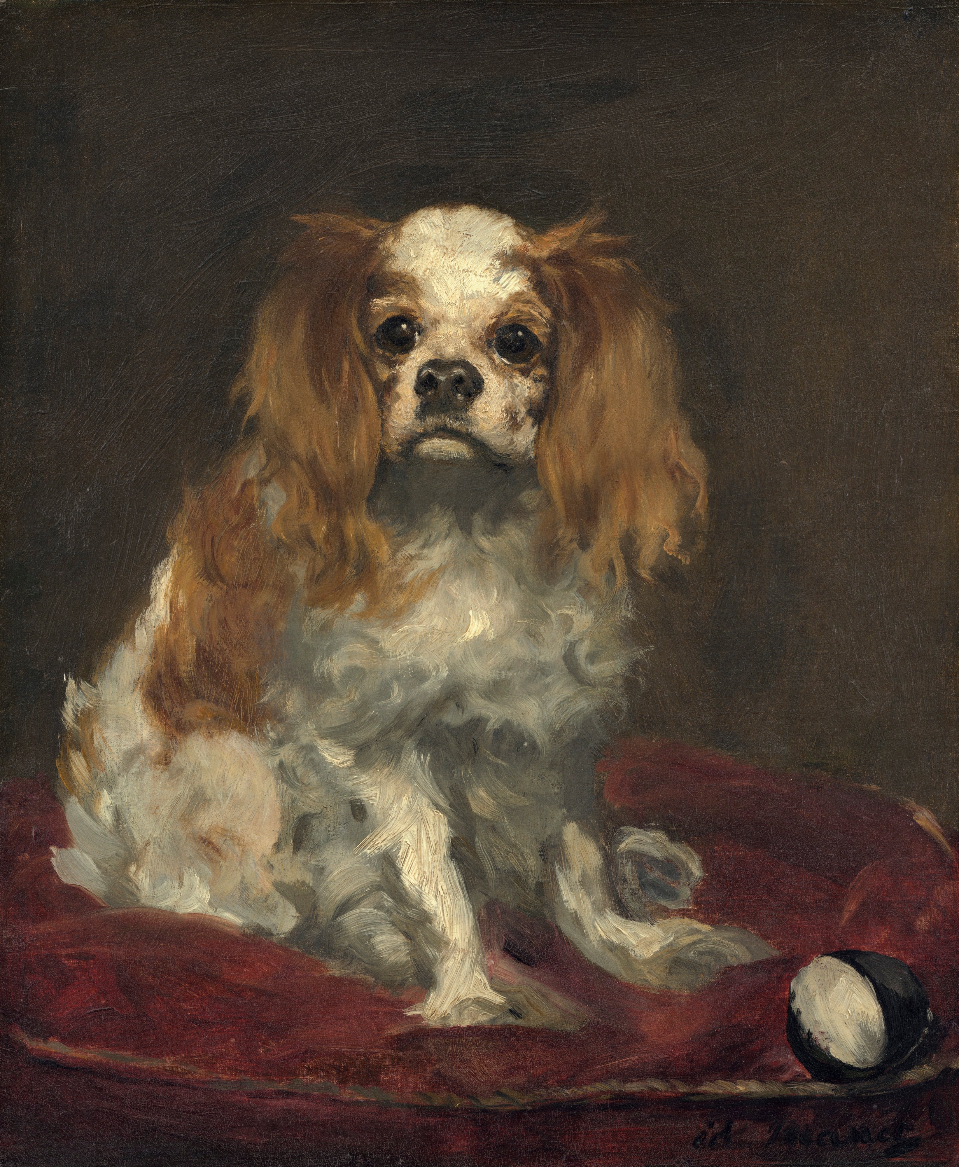 Reproduction du tableau « Un épagneul King Charles - Édouard Manet » par Alpha Reproduction en peinture à l’huile