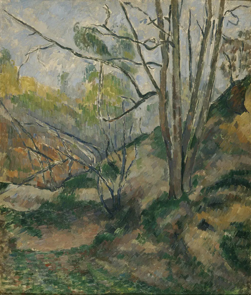 Aluskasvillisuus - Paul Cézanne