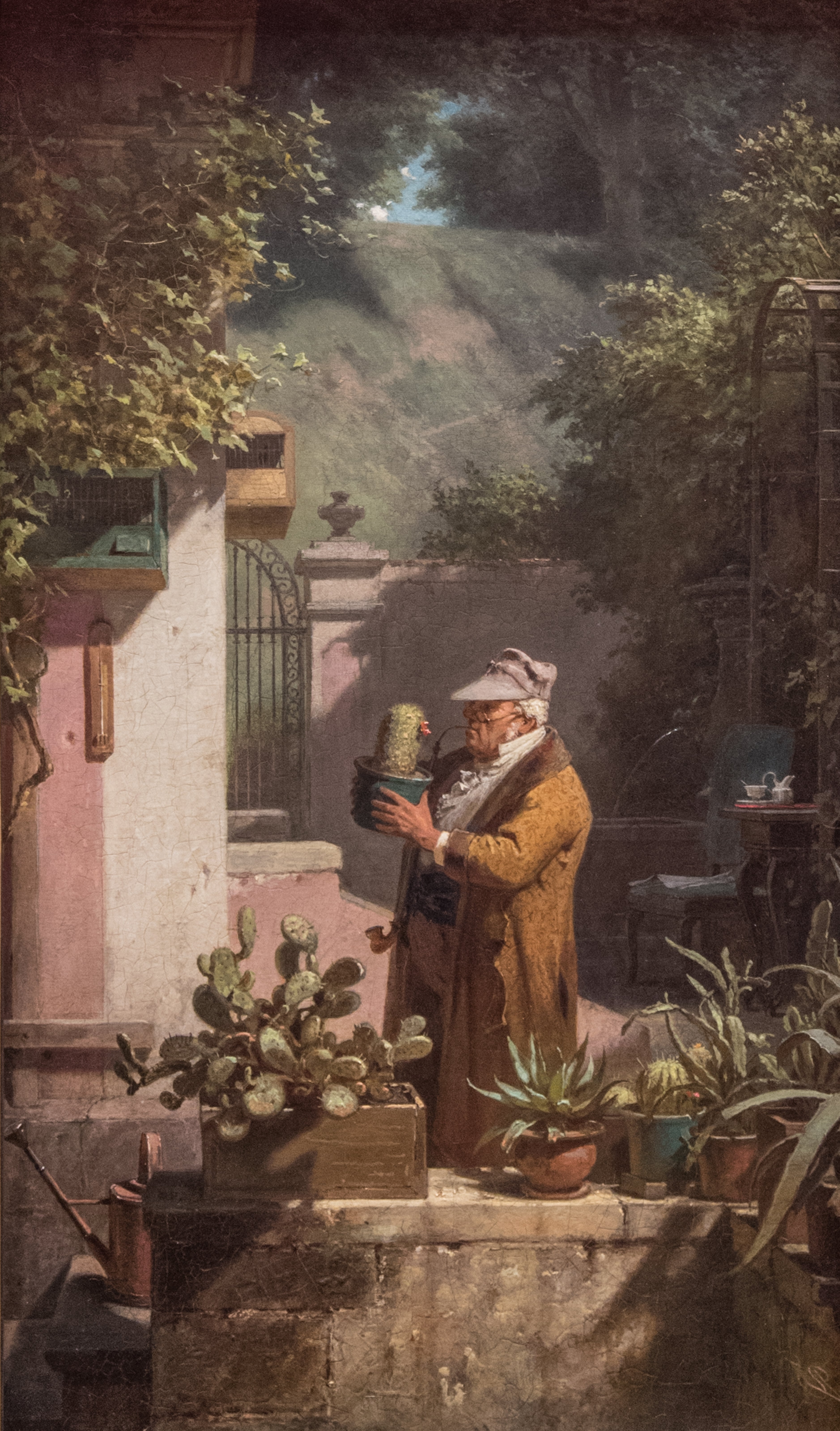 Kaktusharrastaja - Carl Spitzweg