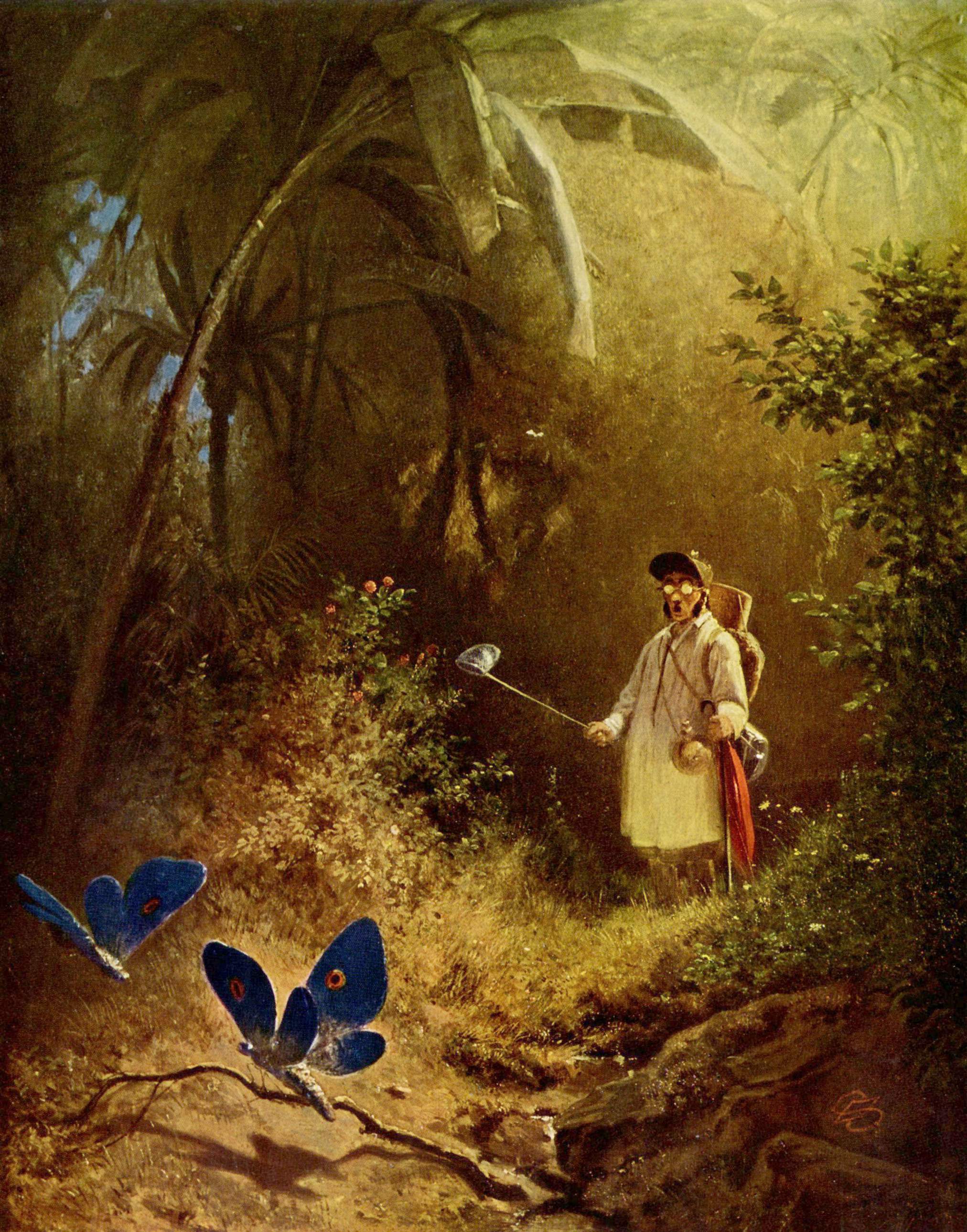 Perhosmetsästäjä - Carl Spitzweg