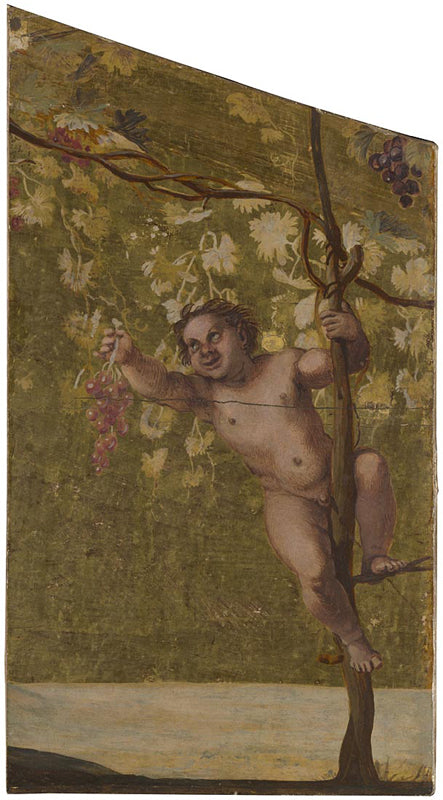 Putto poimimassa viinirypäleitä - Annibale Carracci