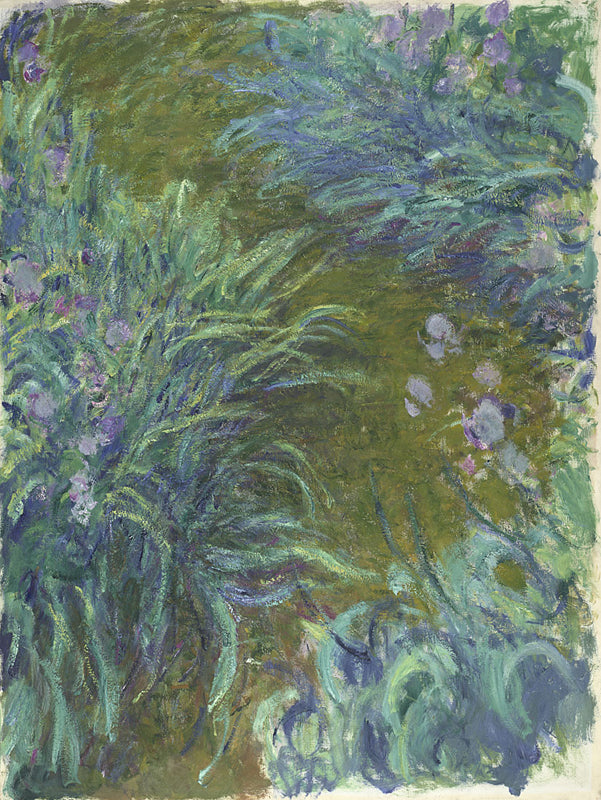 "Irikset" – Claude Monet (noin 1914–1917)