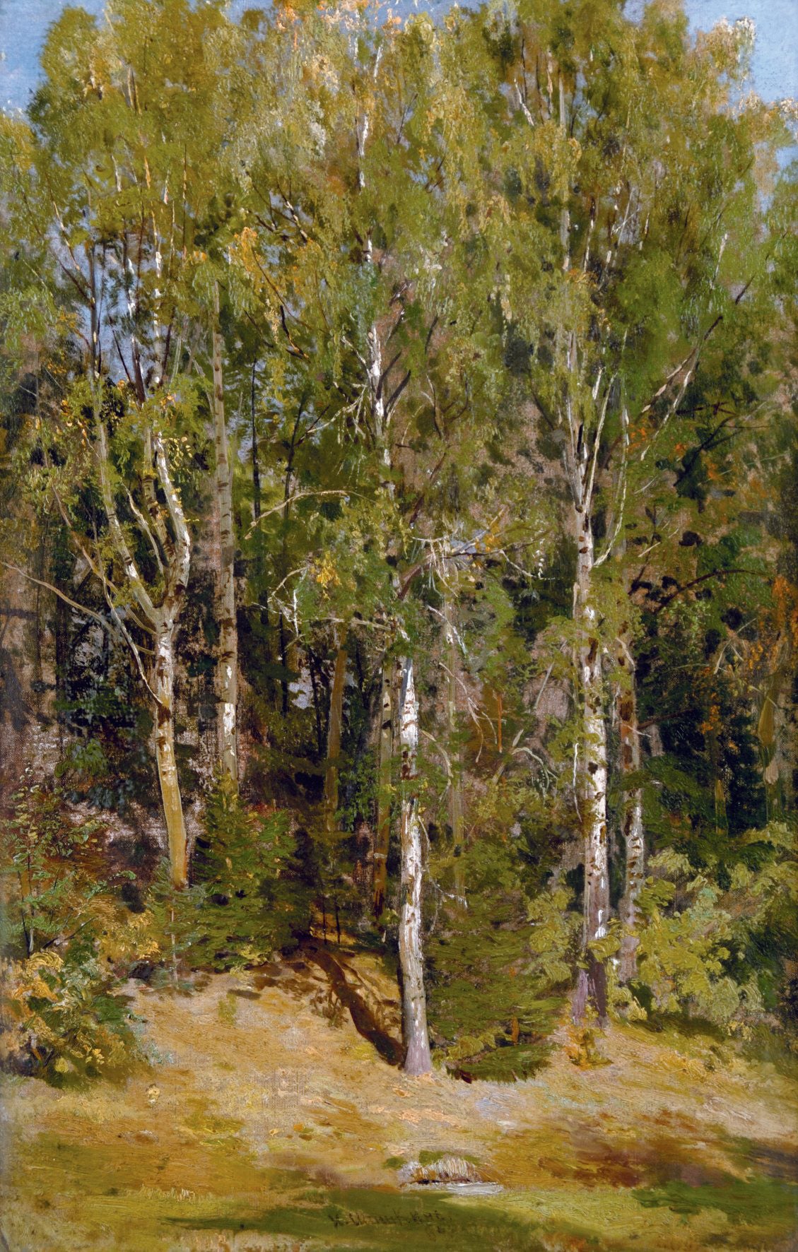 Birch Grove - Ivan Chichkine