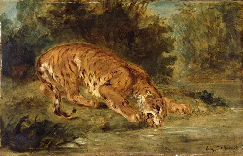 Tiikeri juomassa - Eugène Delacroix