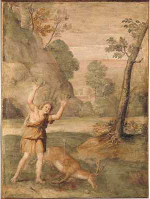 Cyparissuksen muodonmuutos - Domenichino