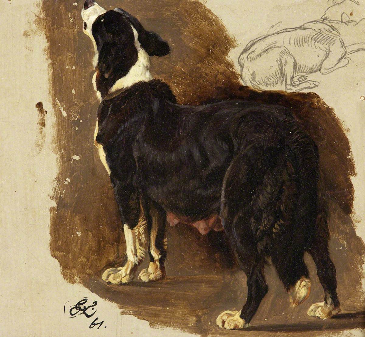 Chienne Colley - Edwin Henry Landseer