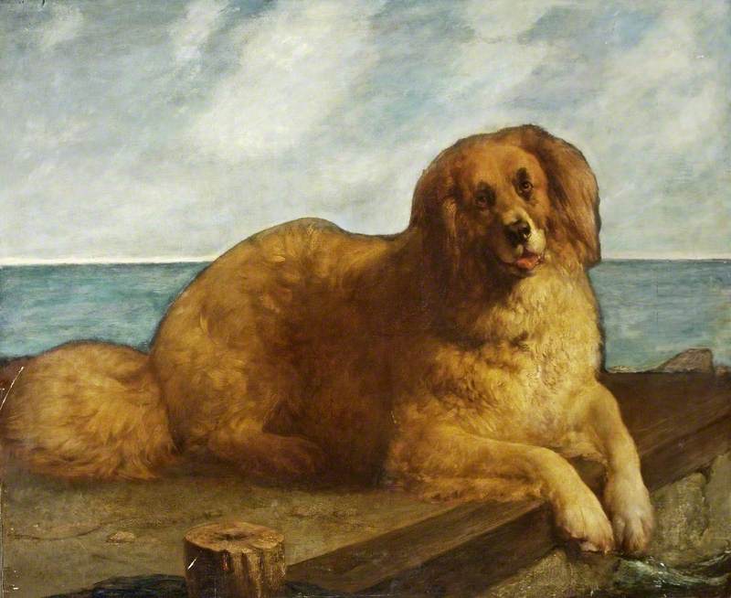 Chien - Edwin Henry Landseer
