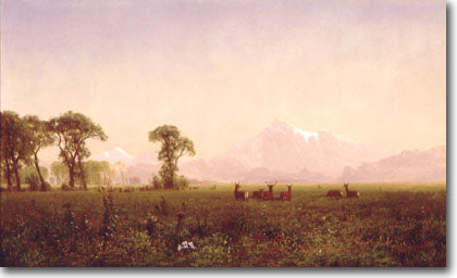 Élans broutant dans la région de Wind River - Albert Bierstadt