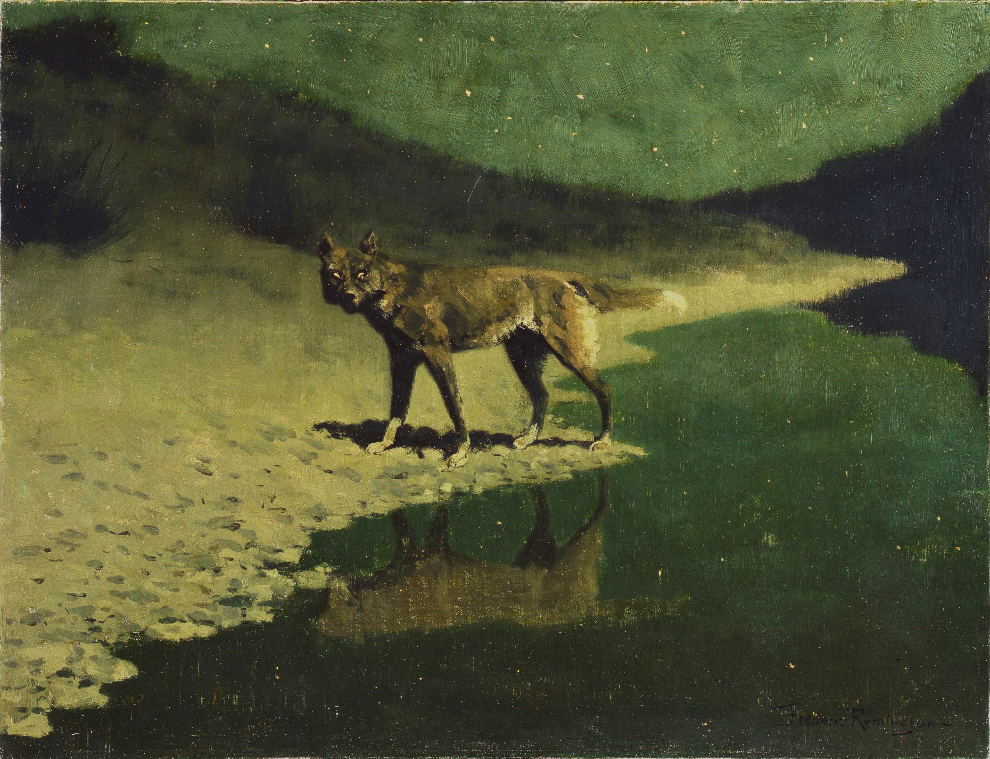 Clair de lune, loup - Frederic Remington