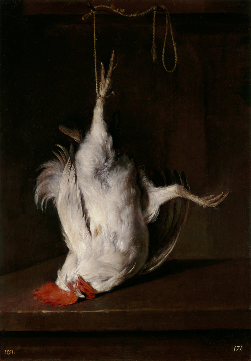 Dead Cockdkg - Gabriel Metsu