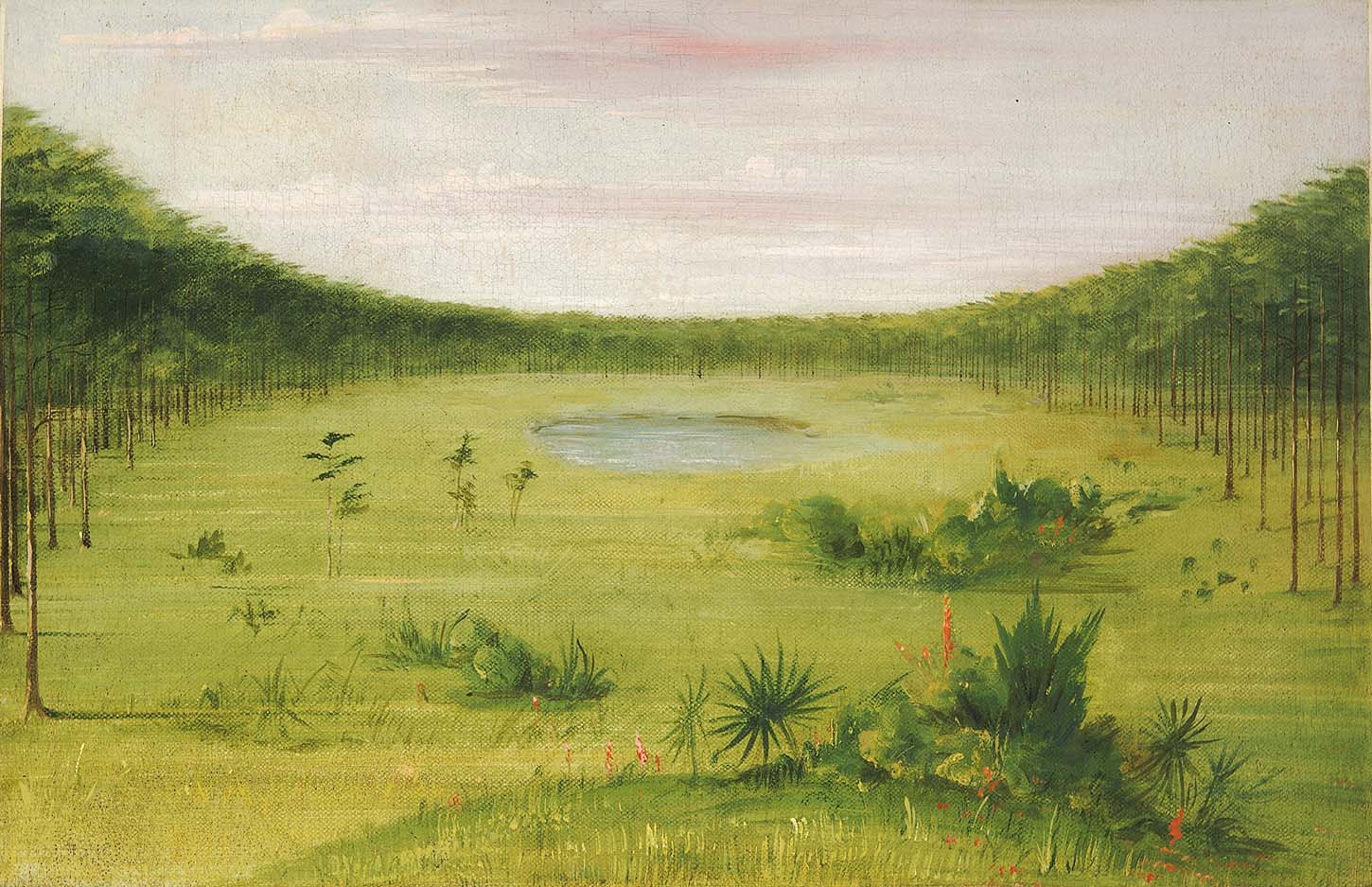 Belle savane dans les pinèdes de Floride - George Catlin