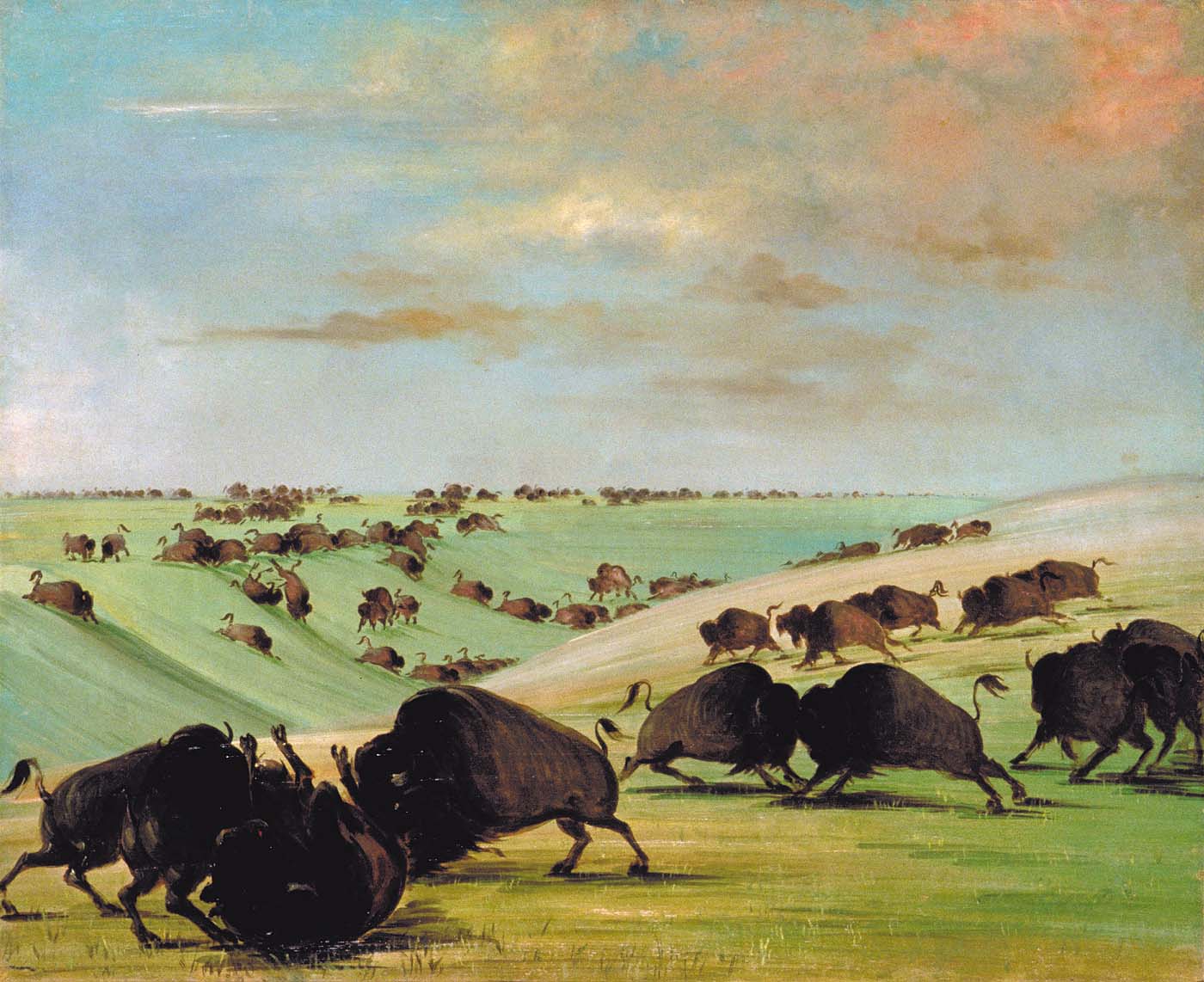 Combats de taureaux de buffle pendant la saison de course, Haut-Missouri - George Catlin