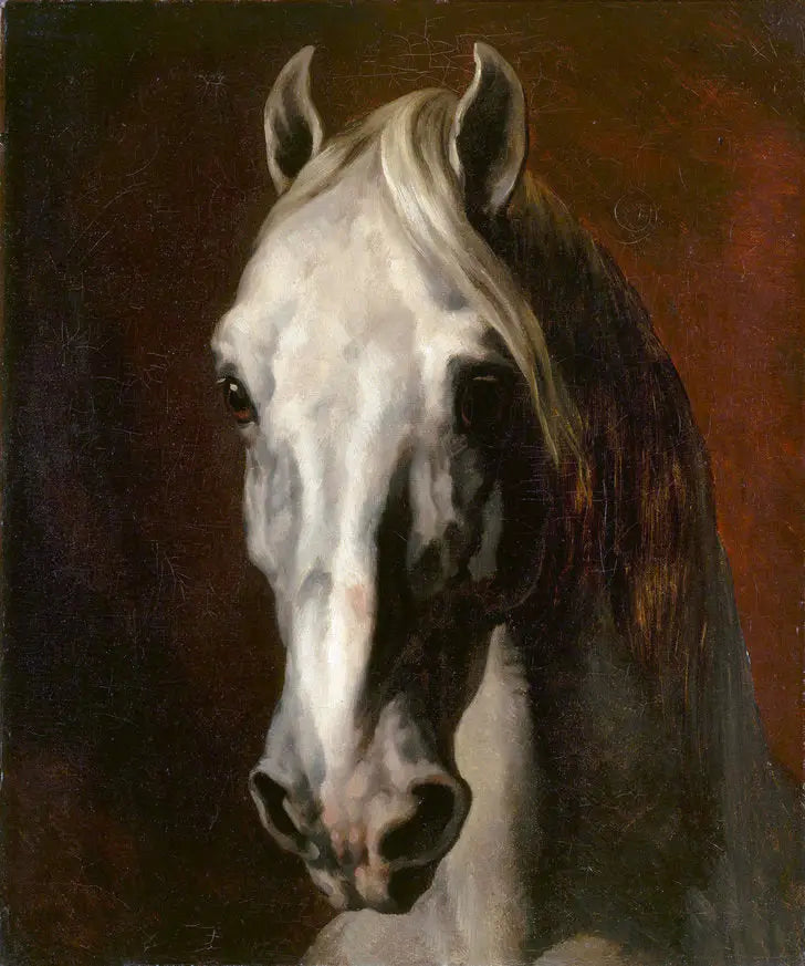 Valkoinen hevosen pää - Théodore Géricault