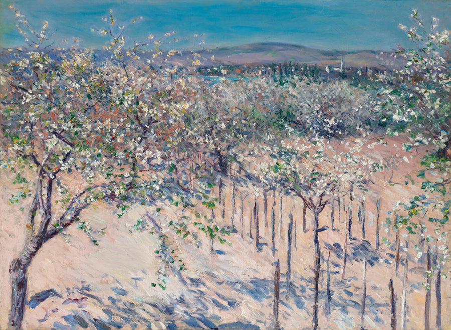 Verger aux pommiers en fleurs, Colombes – Gustave Caillebotte