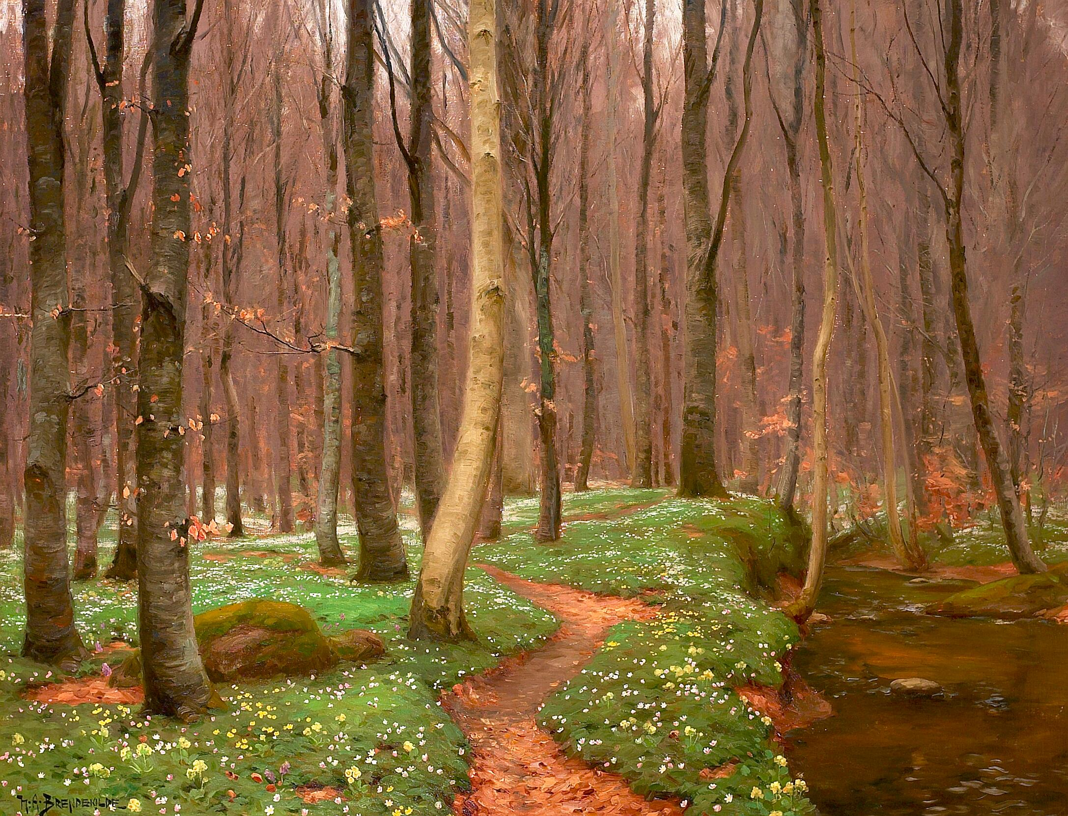 Forêt de hêtres avec des anémones en fleurs et un petit ruisseau. - H. A. Brendekilde