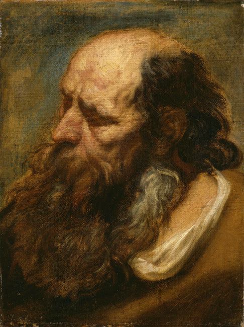Étude de portrait d'un vieil homme barbu - Jacob Jordaens1