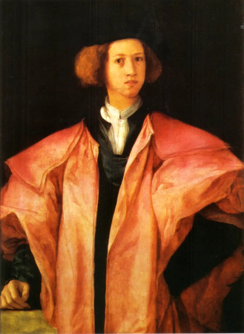 Nuoren miehen muotokuva - Pontormo