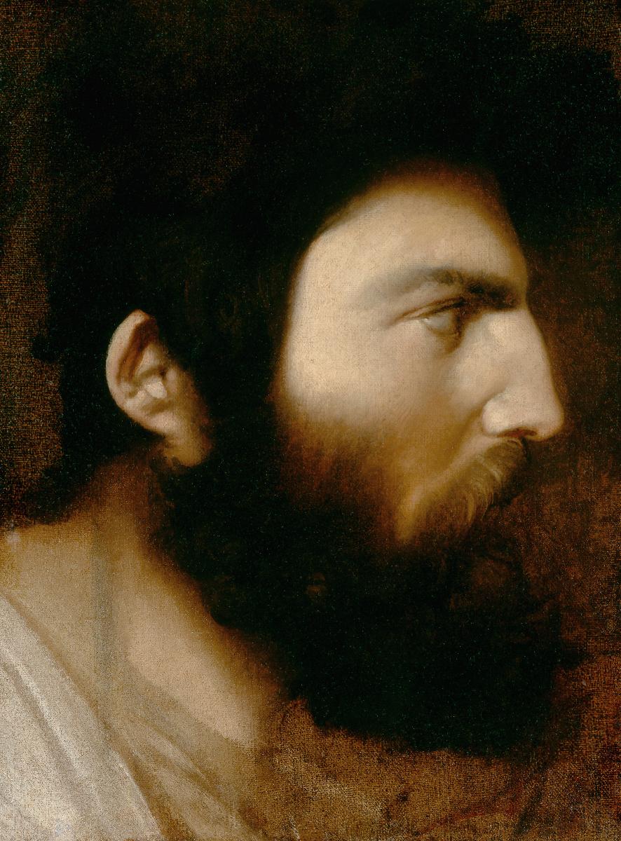 Partioinen miehen profiili - Jean-Auguste-Dominique Ingres