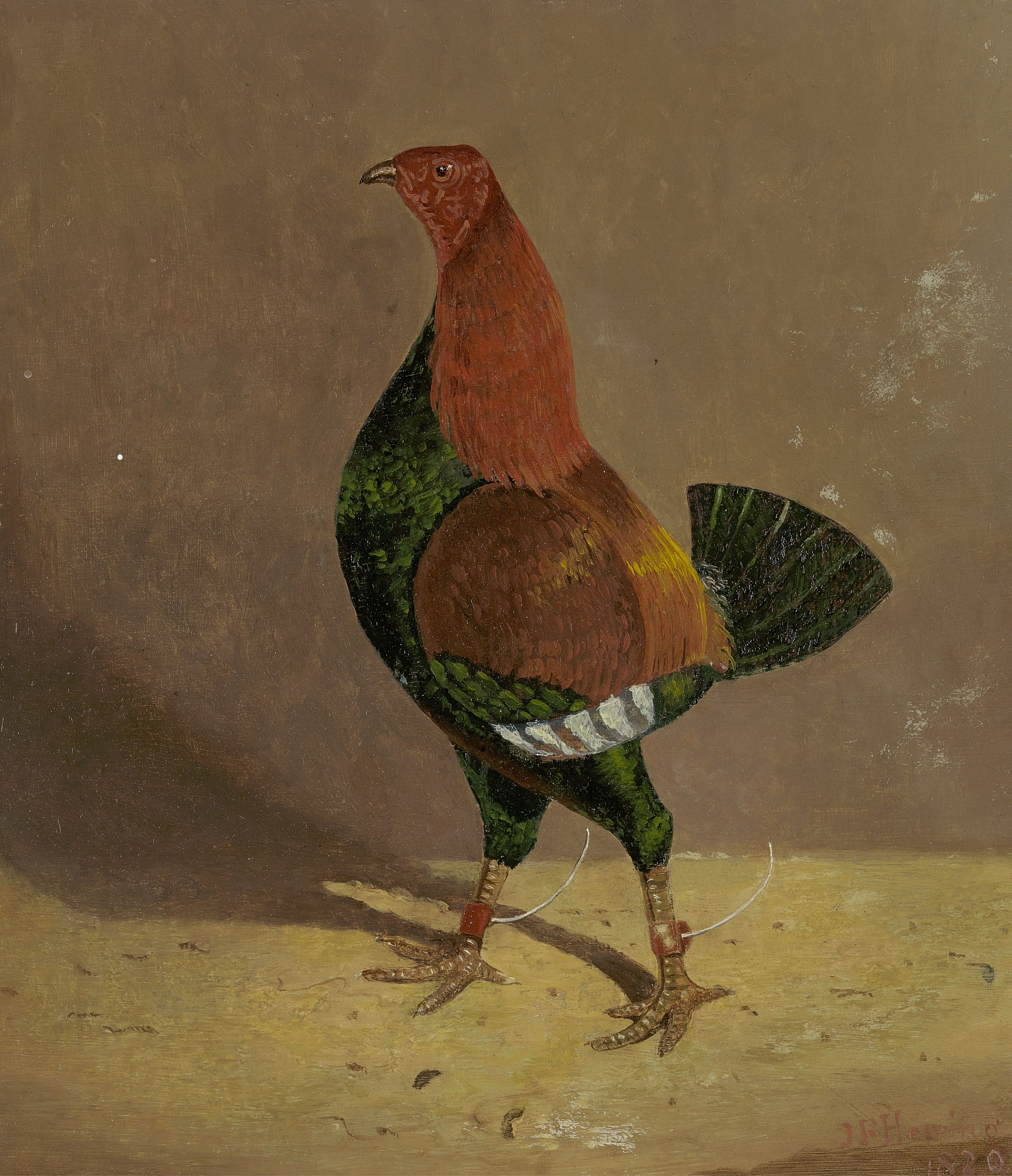 Coqs de combat : un coq de combat à poitrine foncée, tourné vers la gauche - John Frederick Herring, Sr.