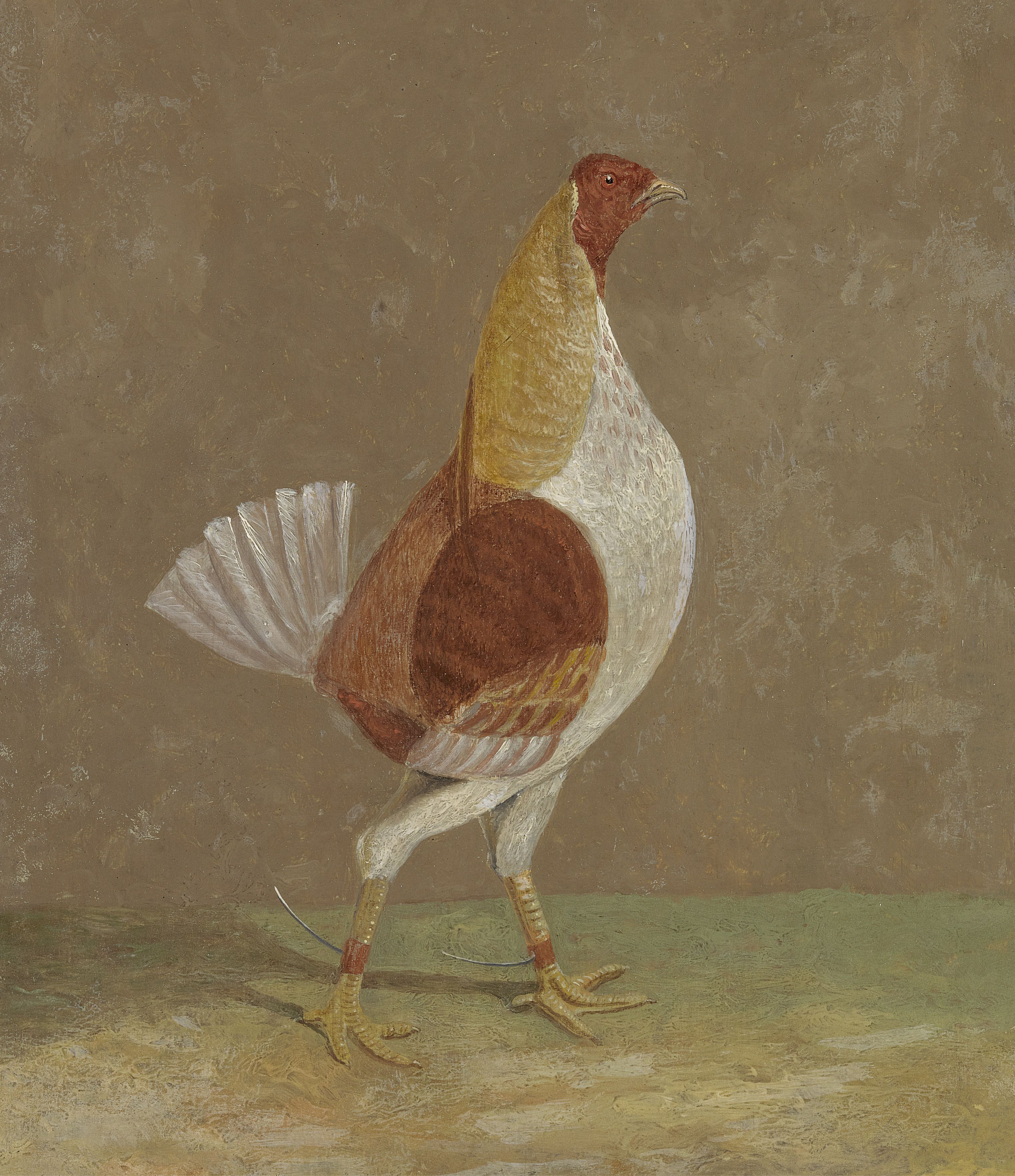 Coqs de combat : un coq de combat à poitrine pâle, tourné vers la droite - John Frederick Herring, Sr.