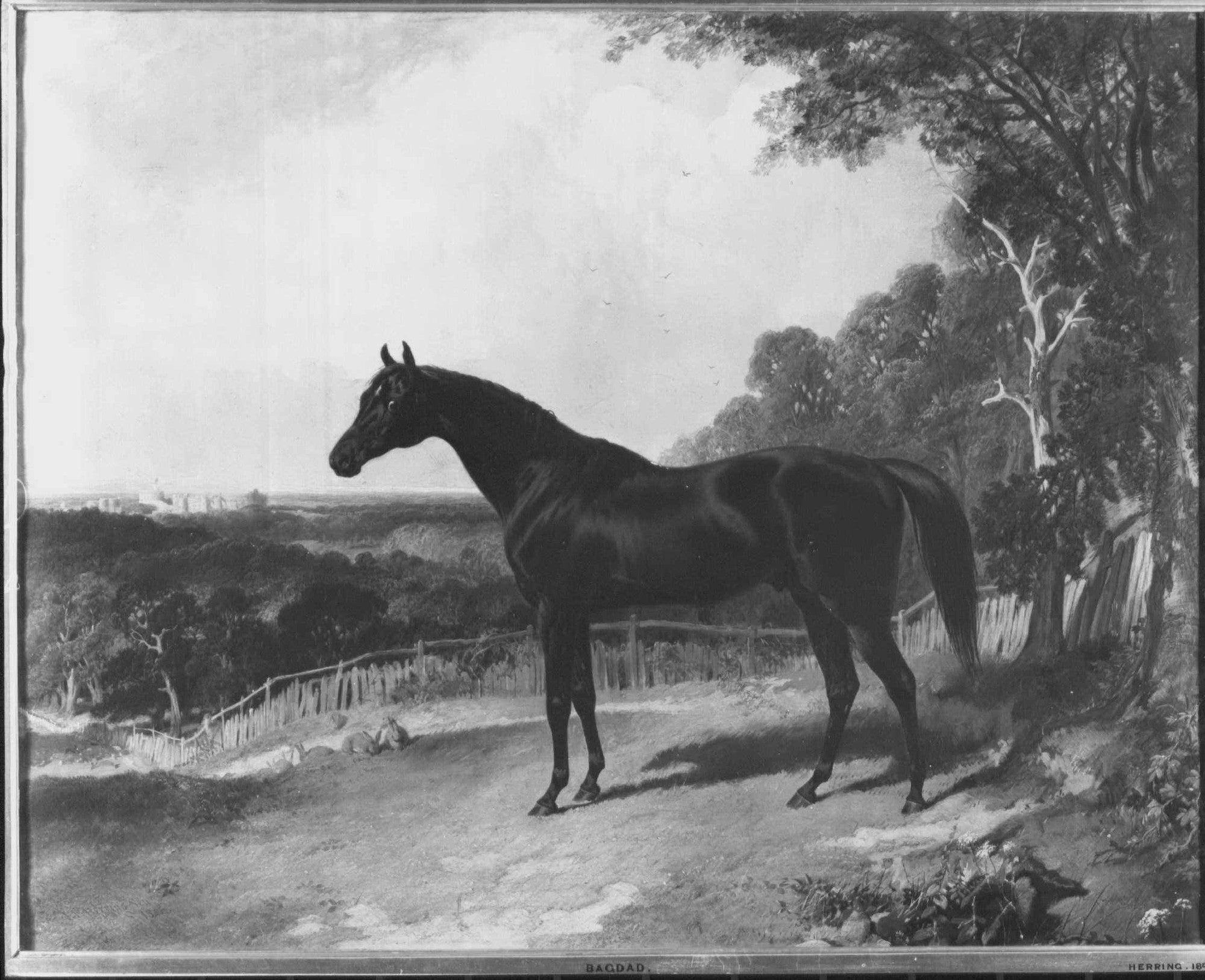 Bagdad - John Frederick Herring, Sr.