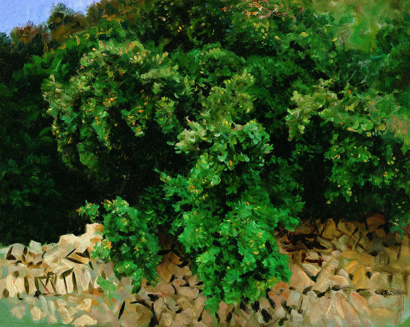 Ilex-puu. Mallorca - John Singer Sargent