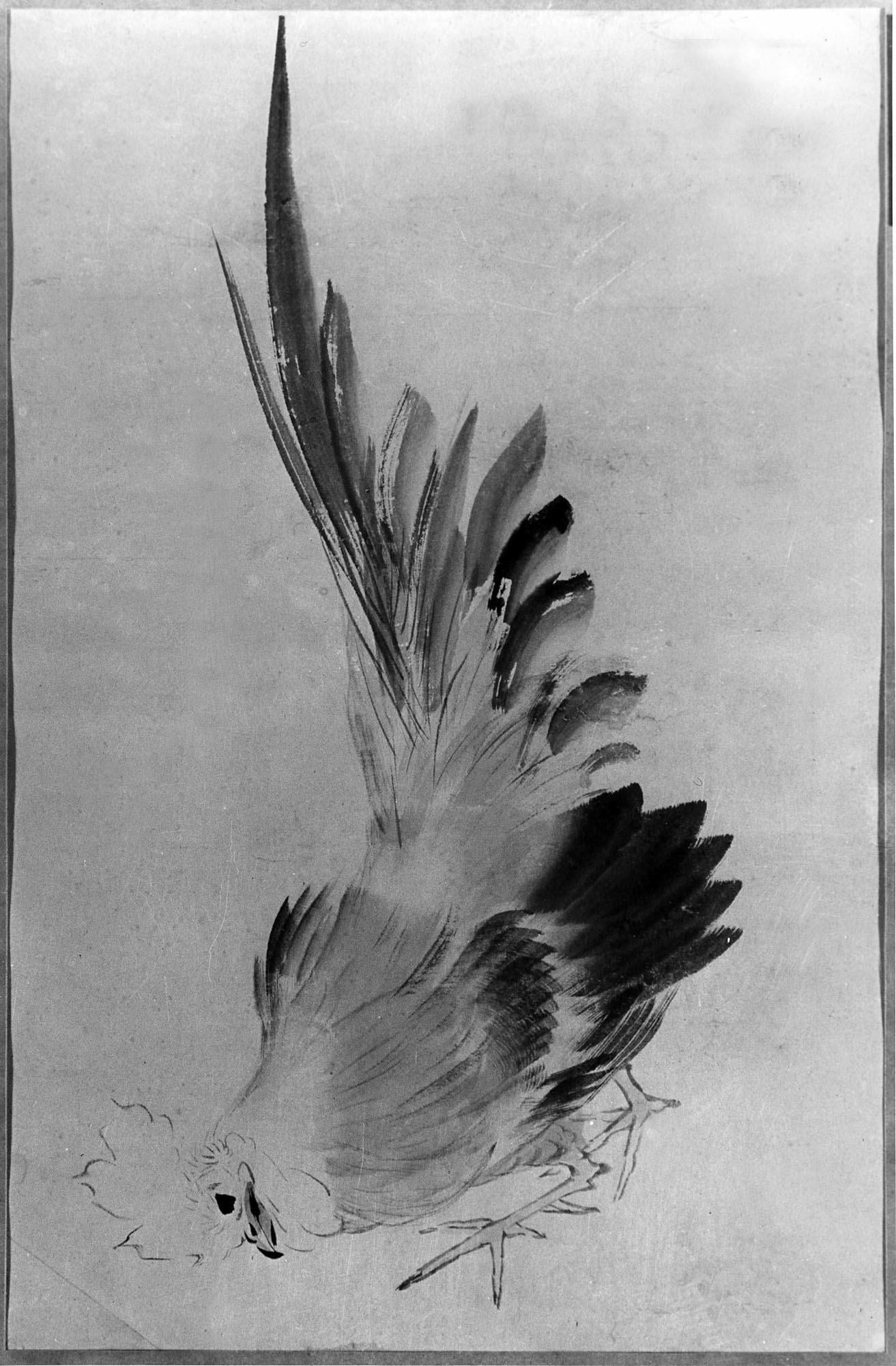 Coq - Hokusai
