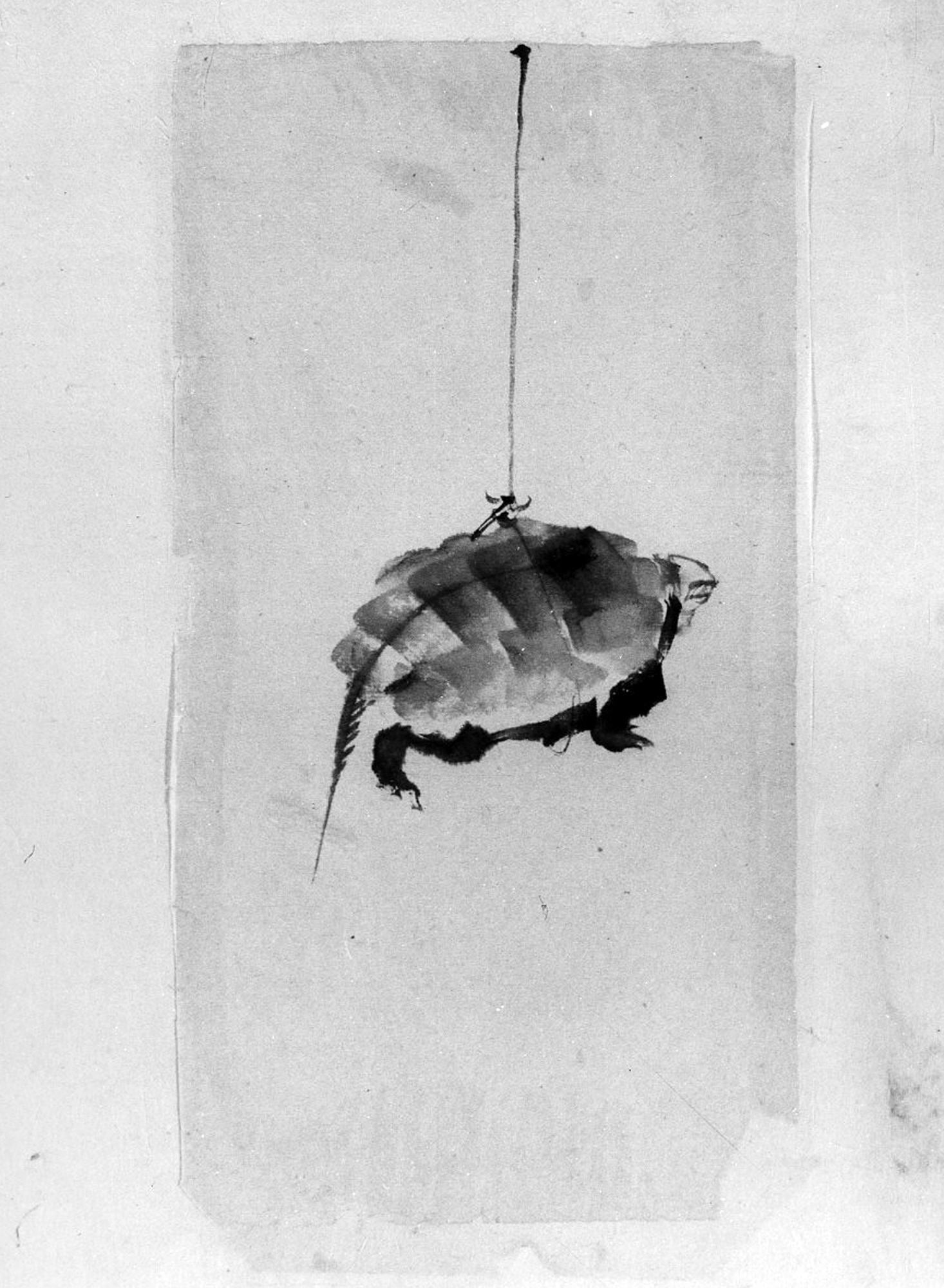 Tortue suspendue par une ficelle - Hokusai