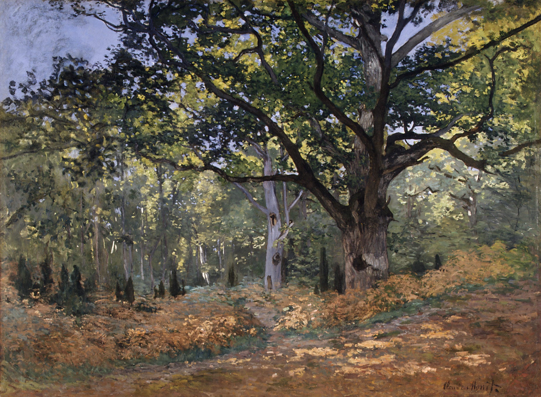Bodmerin tammi, Chaillyn tie - Claude Monet