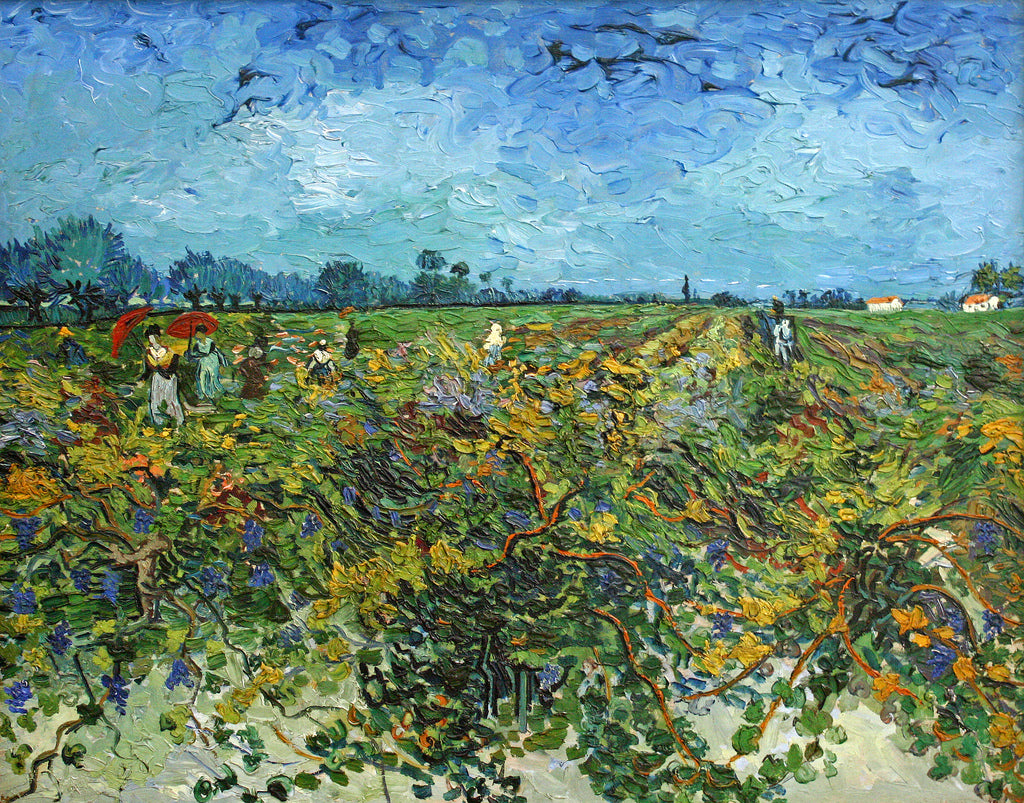 🍇 Vihreä viinitarha – Vincent van Gogh (1888)