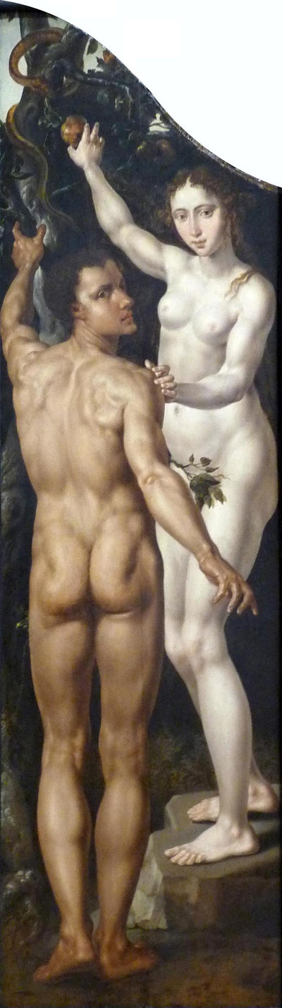 Adam et Ève - Maarten van Heemskerck