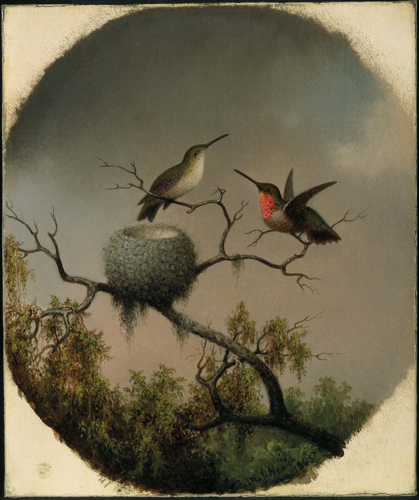 Colibris avec nid - Martin Johnson Heade