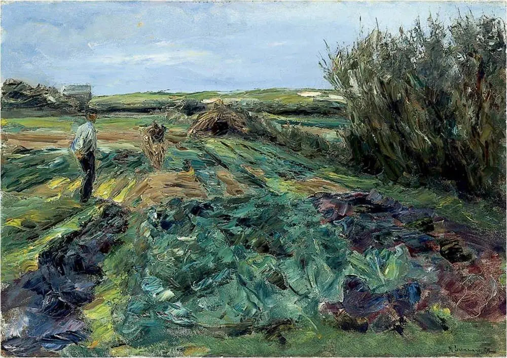 Le champ de choux (champ de choux à Noordwijk) - Max Liebermann - Alpha Reproduction